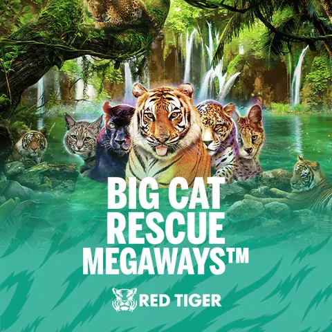 Big Cat Rescue Megaways oyununun kapak görseli