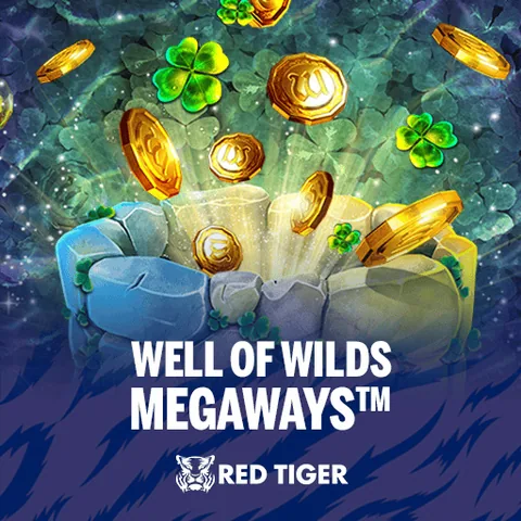 Well Of Wilds Megaways oyununun kapak görseli