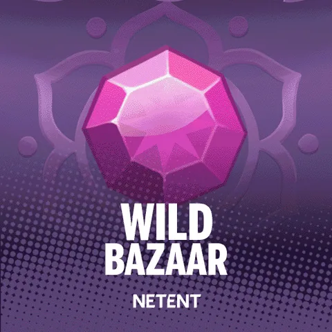Wild Bazaar oyununun kapak görseli