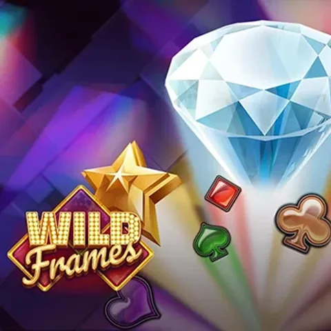 Wild Frames oyununun kapak görseli