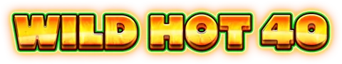 Wild Hot 40 oyununun kapak görseli