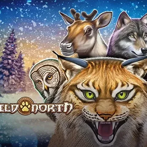 Wild North oyununun kapak görseli